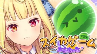 【スイカゲーム ぷらねっと】ダブルスイカ作るぞおおおおおおおおおおおおおおおおおおおおおおお！！【星川サラ/にじさんじ】
