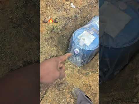 Black water septic #diy #plumbing #shorts
