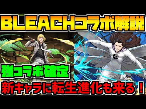 BLEACHコラボ新キャラ解説！強リーダー確定！武器もめっちゃ強いぞ！【パズドラ】