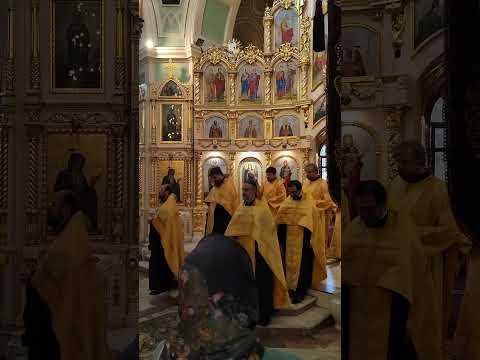 Полиелей. Хвалите имя Господне. Епископ Бакинский Алексий. Андреевский собор, Ставрополь