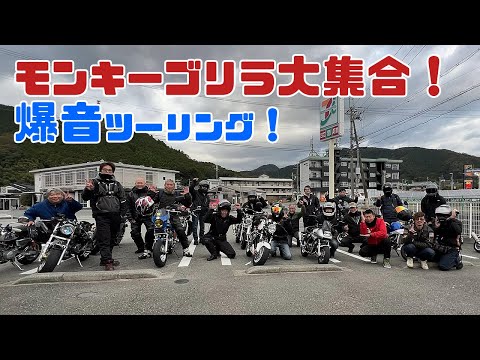 カスタムモンキー・ゴリラ20台でヨシムラ・オーバーマフラーの爆音ツーリング｜箕面のモンキーライダー（バイク動画）