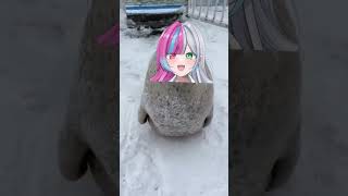 【悲報】VTuberがアザラシになりました　 #vtuber #動物 #癒し #shorts