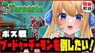 【テラリア/Terraria/作業用BGM】全ボス討伐を目指して！ブードゥーデーモンを倒す！【ハーネル・グウテン/VTuber】】