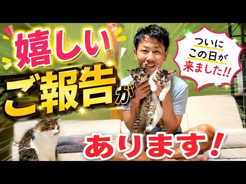 【大ニュース】嬉しいご報告があります!本当にありがとうございます。