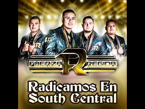 Fuerza Regida: Radicamos En South Central