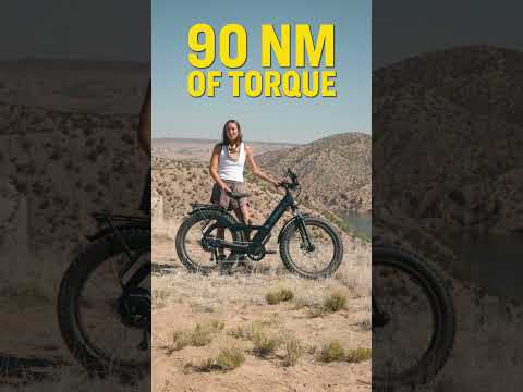 Wander on the wild side with the all-new Borrego+ 🏔️  #trekbikes #ebike  #fattireebike #borrego+