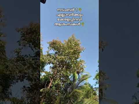 കേരളപ്പിറവി ആശംസകൾ#kerala#keralagram #malayalamsongs #keralaupdates