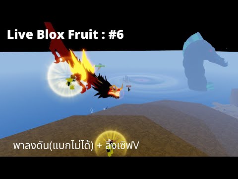 LiveRobloxBloxFruitsแจกเซิ