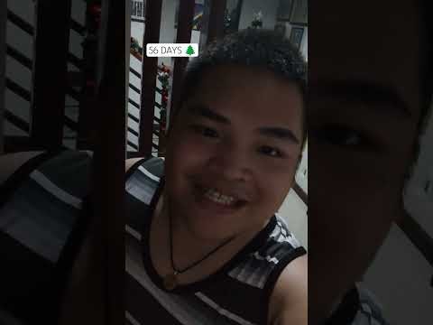 D-56 | COUNTDOWN TO CHRISTMAS DAY #christmastree #christmas #holidayseason #holiday #birthofjesus