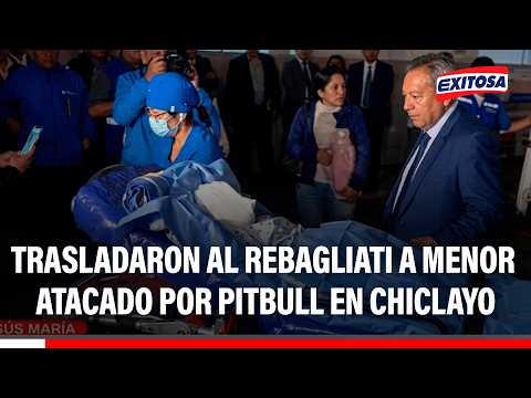 🔴🔵 Menor atacado por pitbull en Chiclayo fue trasladado al hospital Edgardo Rebagliati