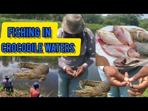 FISHING IN CROCODILE WATER IN ELIM ST.ELIZABETH// FISHING, THE RURAL LIFE ON COUNTRY SIDE OF JAMAICA