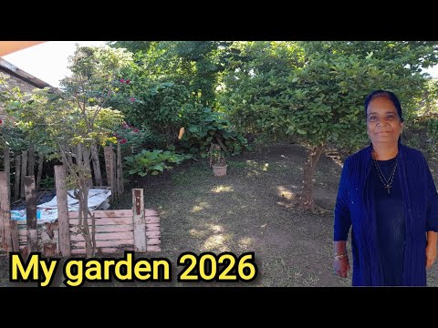 What's new in my garden for summer 2026