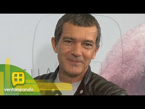 ¡Antonio Banderas prestará su voz para una película animada y tenemos los detalles! | Ventaneando