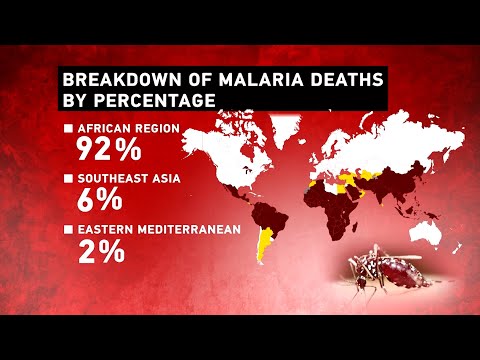 Health Check - World Malaria Day