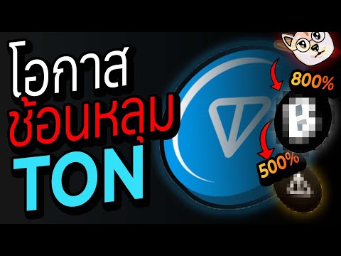 CEOโดนจับคือข่าวดีTONBlockc