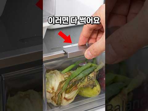 냉장고 야채칸 <strong>그냥</strong> 쓰면 다 썩습니다 (<strong>지금</strong> 당장 확인해 보세요)