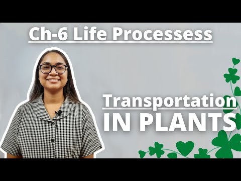 Ch-6 ‘Transportation’ Life Processess L1|| Class-10 Science Ch-6