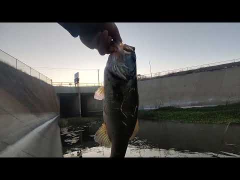 HOW I CHOOSE NEW FISHING FILMING LOCATIONS FOR MY  SOMETIMES ITS HARD TO GO LIVE Fishing BECAUSE OF ALL THE FISHING PRESSURE. I GET IT. SOMETIMES YOU H