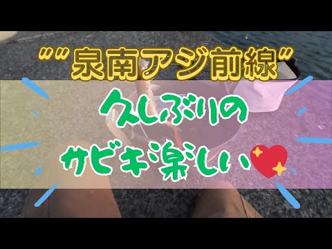 【泉南アジ】久しぶりのサビキ釣りが新鮮で楽しい！！