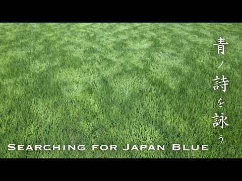 青ノ詩を詠う - Searching for Japan Blue 「御浜は年中青し」