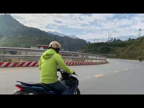 Cùng ngắm khu vườn đào vườn chi mai trên đường đến Sa Pa