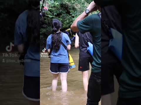 ผจญภัยเดินป่าเขาหลัก-จ.ตรัง ผจญภัยเดินป่าเขาหลัก-จ.ตรัง