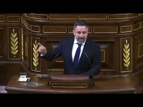 El discurso de Santiago Abascal contra Pedro Sánchez en el Congreso que retuiteó Milei