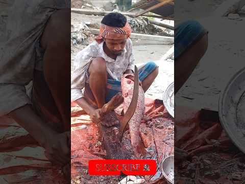 World Famous Big Size Fish Cutting Skill 😱🐟 | Expert Fish Cleaning | Village Market Style #shorts