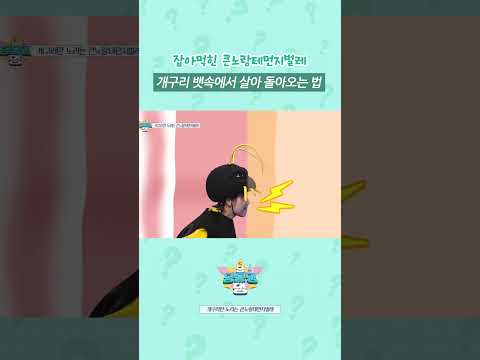 개구리 뱃속에서 큰노랑테먼지벌레가 돌아왔다~? #shorts