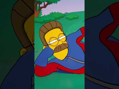 Even Ned Flanders deserves a Fan Cam moment