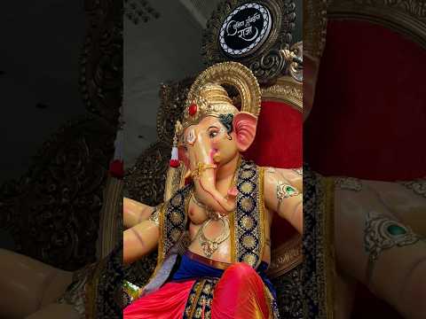 Dakshin Mumbai Cha Raja #ganeshutsav #ganeshchaturthi #trending #viral #17th August #aagman2025