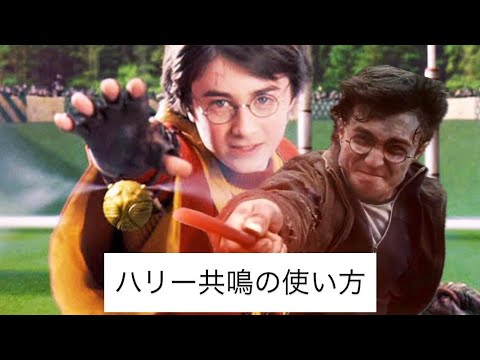 【魔法の覚醒】ハリー共鳴の手本❗️1v2vどちらも行けます❗️金のスニッチ必須💰