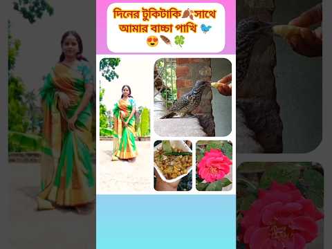 আমার বাচ্চা পাখি 🐦😍 #vlog #minivlog #dailyvlog #shorts #shortvideo #subscribe #foryou #foryoupage