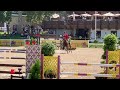 Show jumping horse mooi hengstveulen uit 1m60 ouders