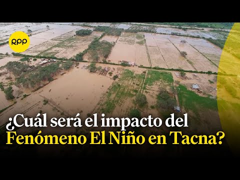 Tacna: ¿Cuál será el impacto por el Fenómeno El Niño?