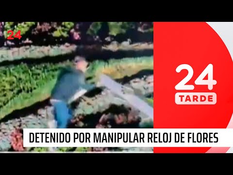 Hombre es detenido por manipular reloj de flores en Viña del Mar | 24 Horas TVN Chile