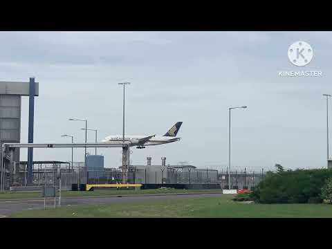 Arrivals at Heathrow Airport: Part 1 (7th October 2023)