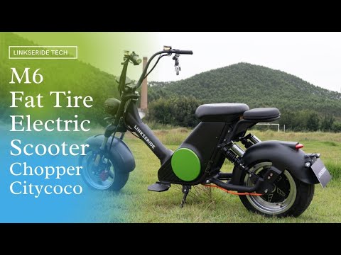 M6 Big Tire Electric Scooter Street Moped Fat Tire 2000W 3000W 65km/h EEC COC Wholesale Price
