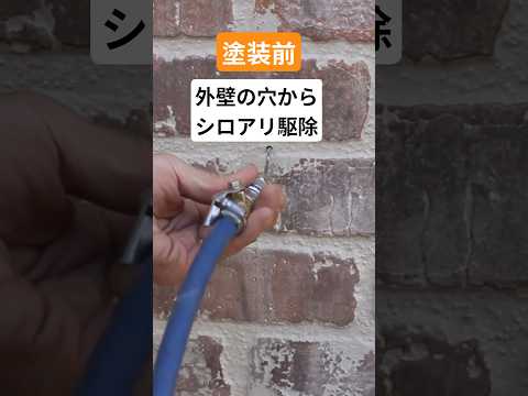 外壁塗装前のシロアリ対策 #シロアリ駆除 #シロアリ予防 #塗装職人 #外壁塗装