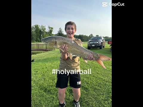 #holyairball #fish