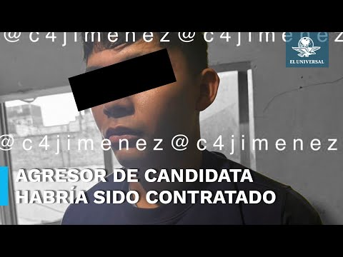 SSC confirma detencio?n de presunto agresor de Alessandra Rojo de la Vega 1