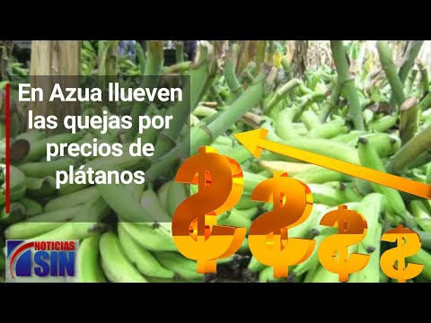 En Azua llueven las quejas por precios de plátanos