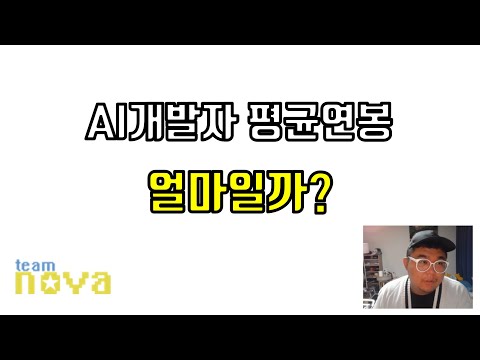 AI 개발자 연봉