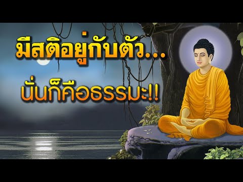 🔴มีสติอยู่กับตัวนั่นก็คือธรร