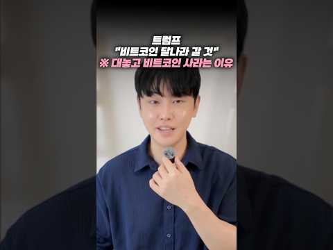 트럼프 "비트코인 달나라 갈 것", 지금 코인이 폭등하는 이유
