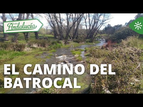 Destino Andalucía | El Camino del Batrocal, una ruta senderística en plena Sierra Morena sevillana