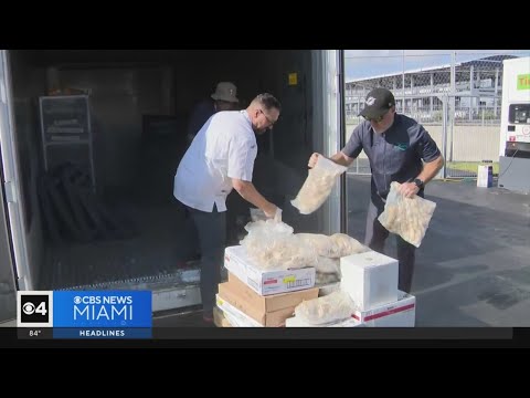 Organization uses Formula 1 leftovers to feed those suffering from food insecurity in South Florida