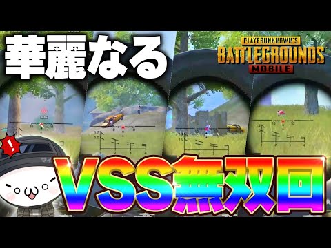 【PUBGモバイル】この男にVSSを持たせるとこうなります。一瞬の隙も逃さないVSS無双回！！！【マイマビ/切り抜き】【PUBGMOBILE】