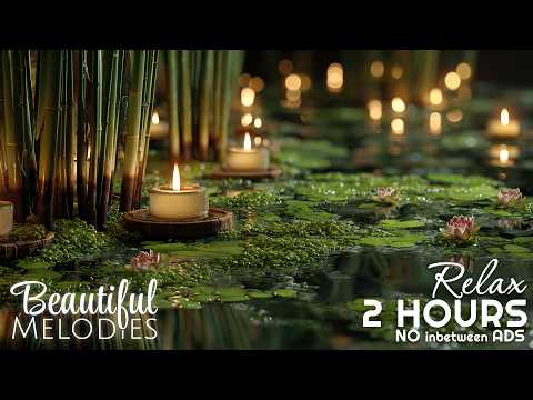 Zen Spa Music for Deep 🌿 Calm World’s Most Relaxing Music 🌿 No Ads