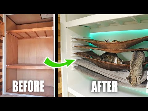 Transforming Closet into 5-layer Cat Hammock with Tunnel